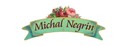 Michal Negrin Voucher Codes