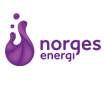 NorgesEnergi coupon