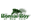 Bonsai Boy coupon