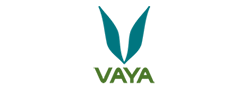 Vaya Coupons and Offers