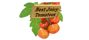 Best Juicy Tomatoes Coupon Code