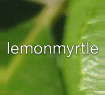 Lemon Myrtle coupon