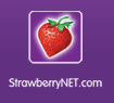 Strawberrynet coupon
